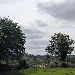 Tranquil Off-grid 巴利纳